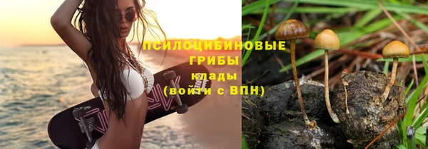 амф Майский