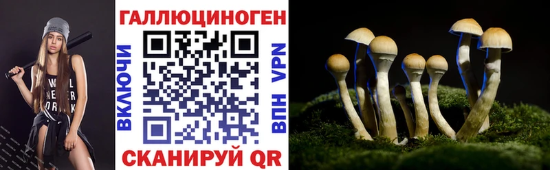 Галлюциногенные грибы MAGIC MUSHROOMS Цоци-Юрт