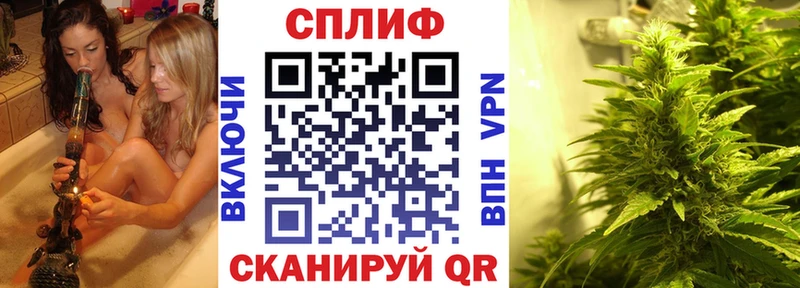 МАРИХУАНА сатива  купить  сайты  Цоци-Юрт 